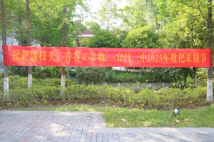 劳动实践里的青春之歌——2025届枇杷采摘节