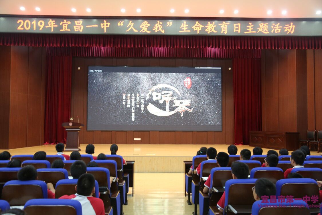 《听琴》——宜昌市第一中学2019年“久爱我”生命教育日主题活动