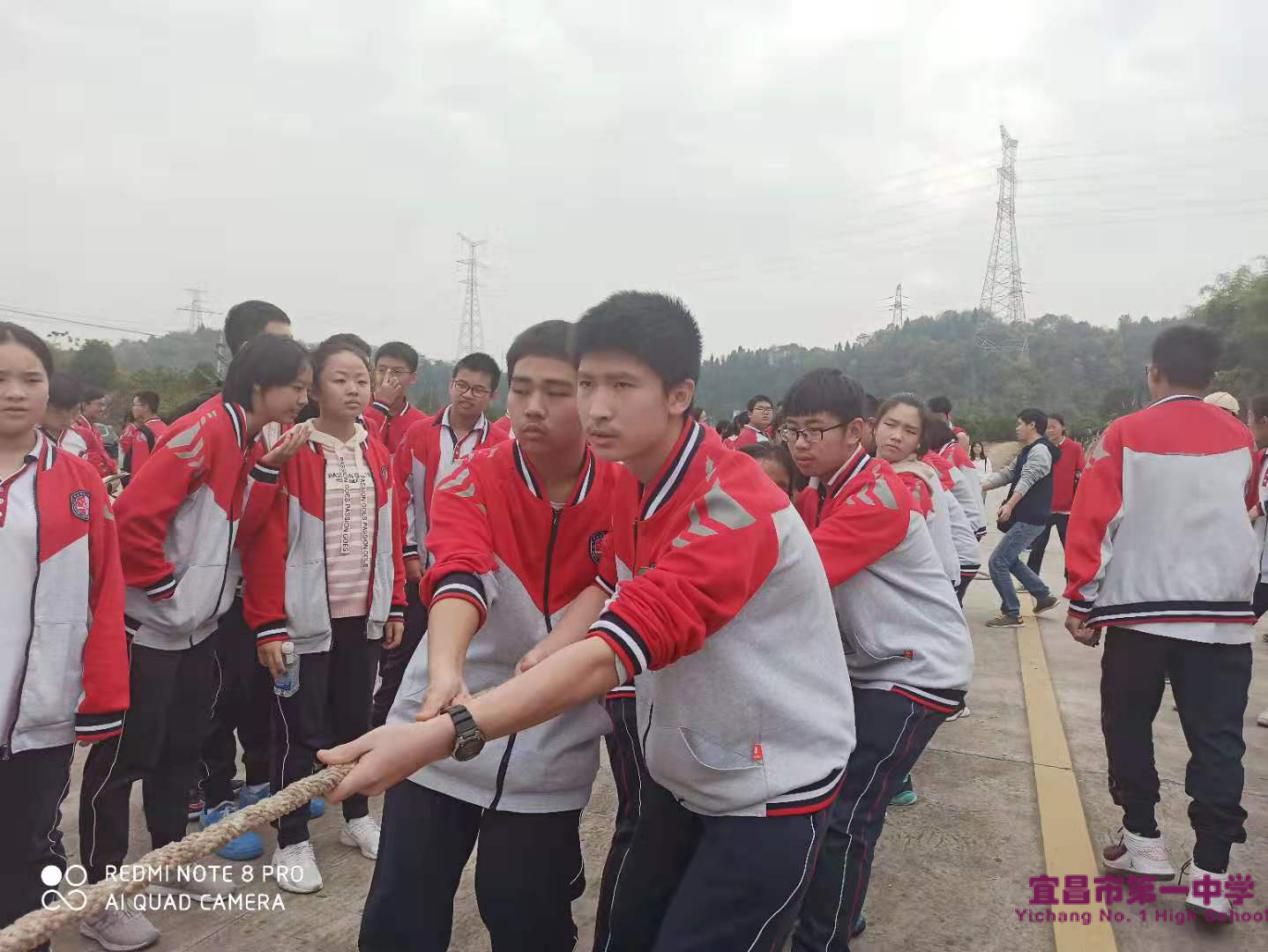 2019级学生阳光拉练系列报道（十）——毅行