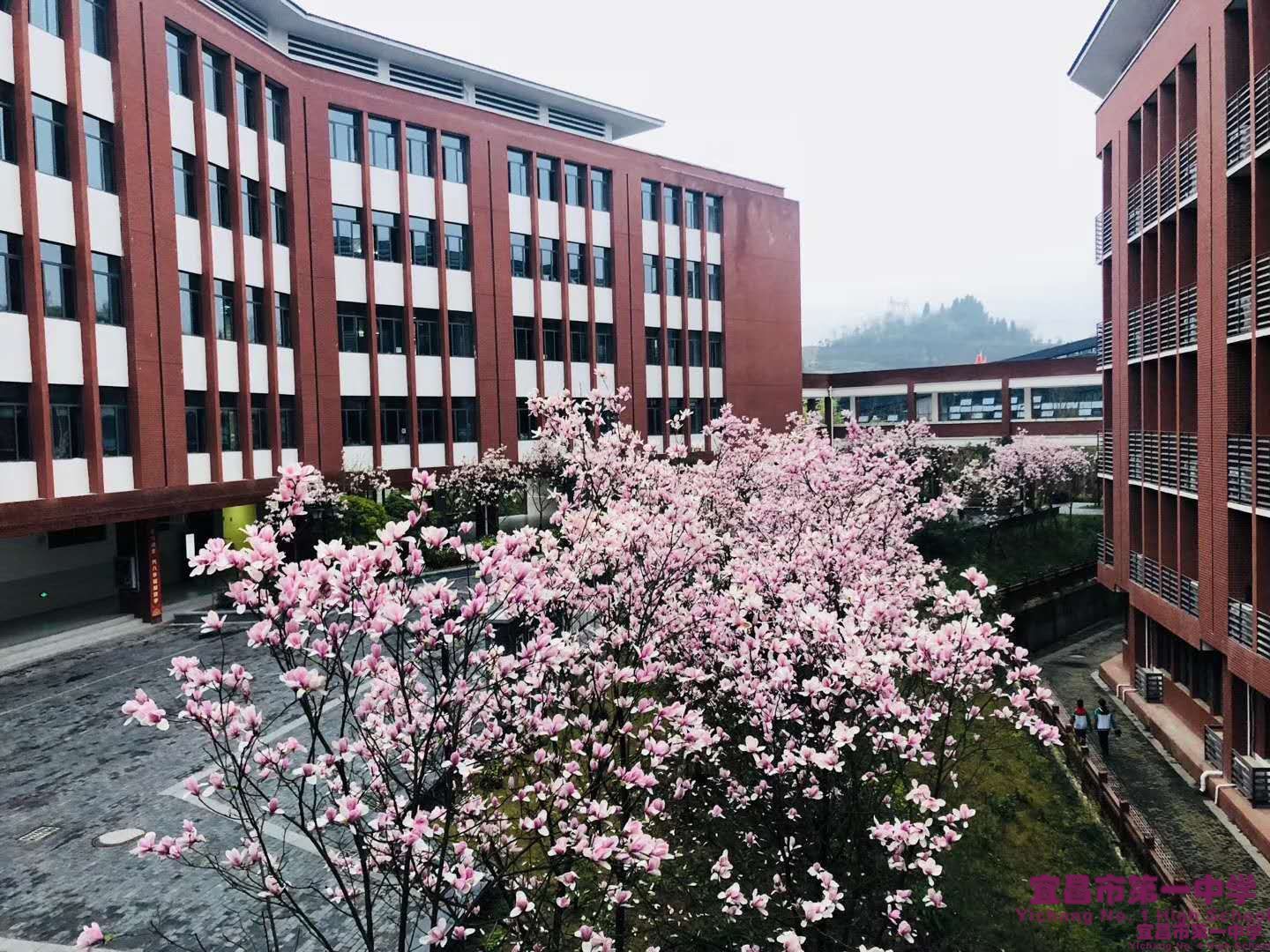 殷忧启明，多难兴邦——学生抗疫时评系列（三）