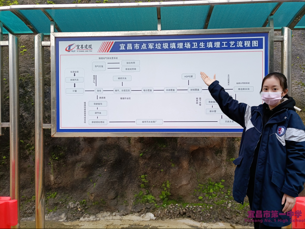 “向雷锋同志学习”系列志愿服务活动感想（二）