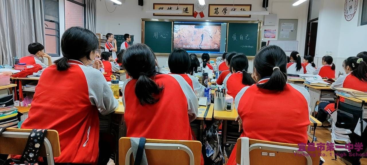 我校召开“从心爱自己”班会
