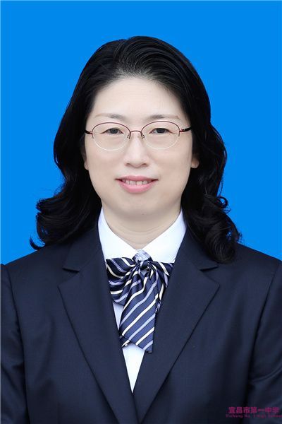 段羽老师个人简介