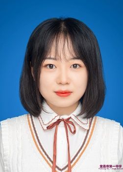 卢苇老师个人简介